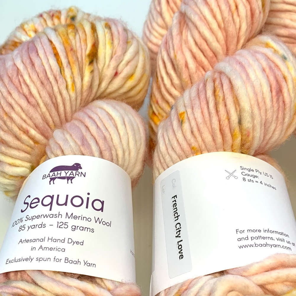 Only one left!  1 Skein BAAH YARN Sequoia French City Love Extra Bulky